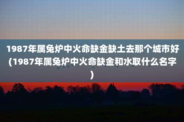 1987年属兔炉中火命缺金缺土去那个城市好(1987年属兔炉中火命缺金和水取什么名字)