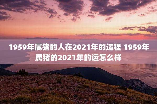 1959年属猪的人在2021年的运程 1959年属猪的2021年的运怎么样