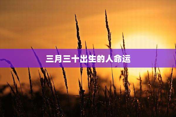 三月三十出生的人命运
