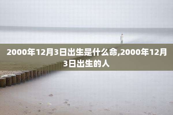 2000年12月3日出生是什么命,2000年12月3日出生的人