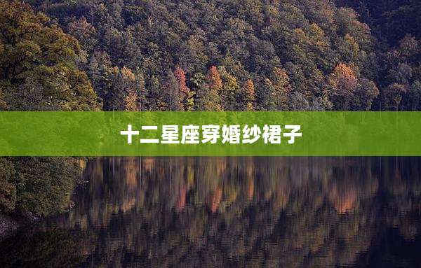 十二星座穿婚纱裙子