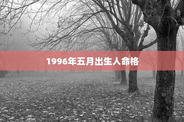 1996年五月出生人命格