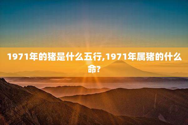1971年的猪是什么五行,1971年属猪的什么命?