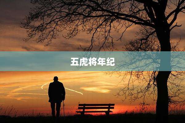 五虎将年纪
