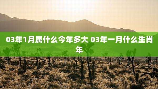 03年1月属什么今年多大 03年一月什么生肖年