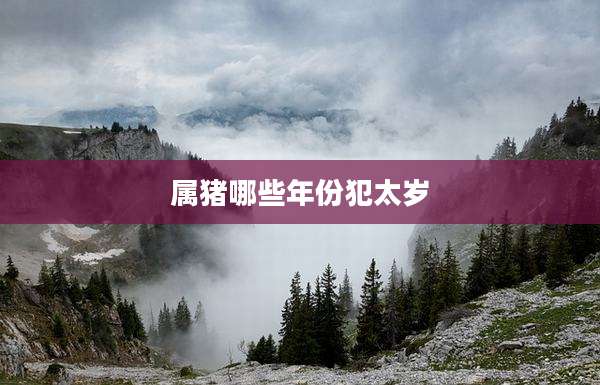 属猪哪些年份犯太岁