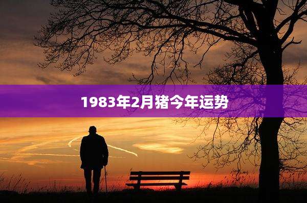 1983年2月猪今年运势