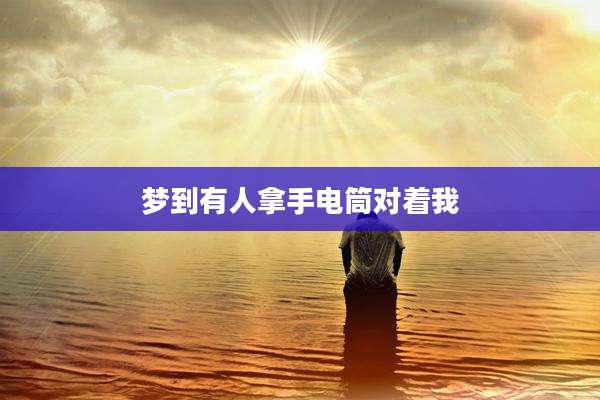 梦到有人拿手电筒对着我