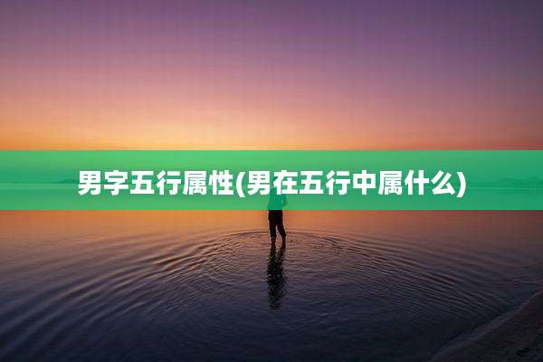 男字五行属性(男在五行中属什么)