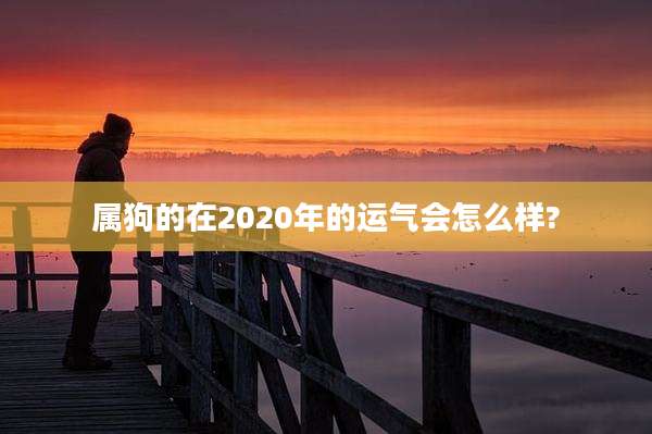 属狗的在2020年的运气会怎么样?