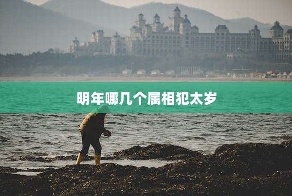 明年哪几个属相犯太岁