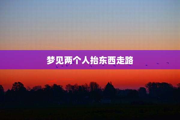 梦见两个人抬东西走路