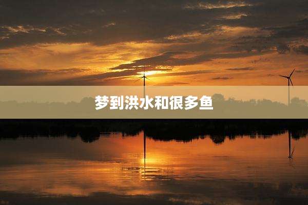 梦到洪水和很多鱼