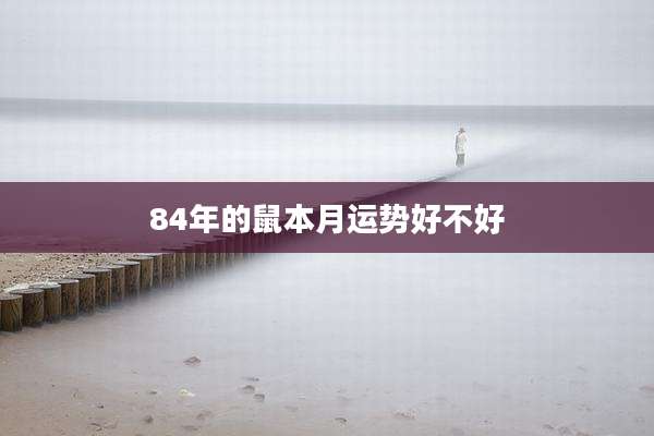 84年的鼠本月运势好不好