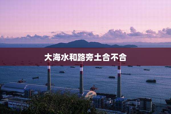 大海水和路旁土合不合