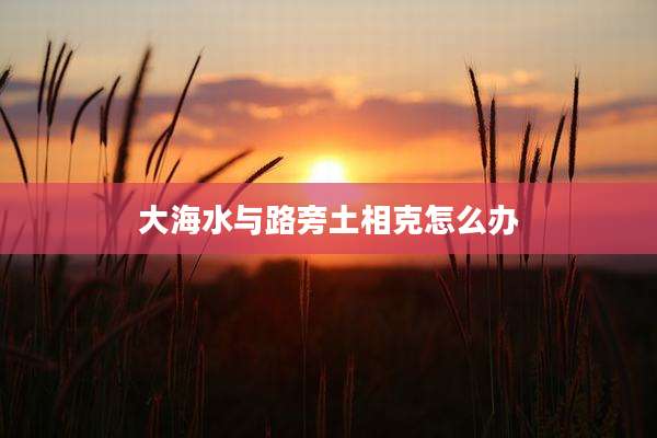 大海水与路旁土相克怎么办