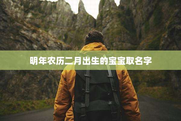 明年农历二月出生的宝宝取名字