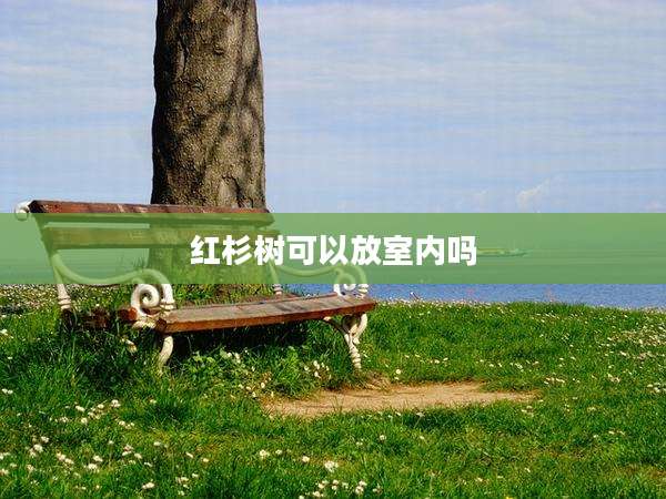 红杉树可以放室内吗