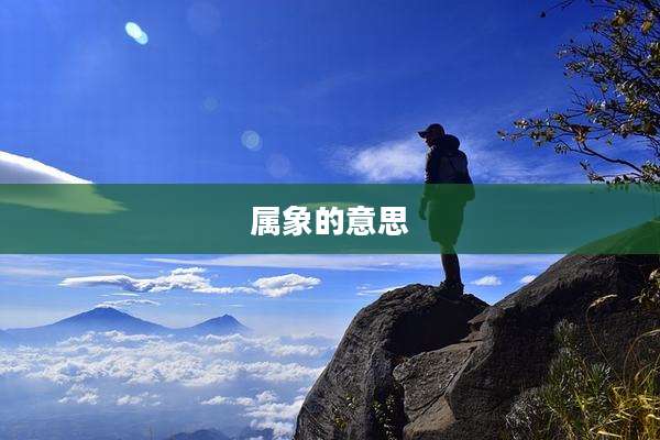 属象的意思