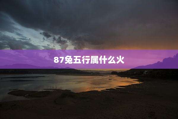 87兔五行属什么火