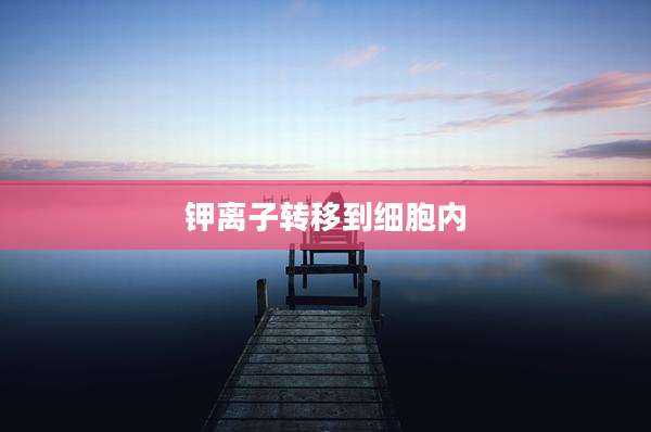 钾离子转移到细胞内