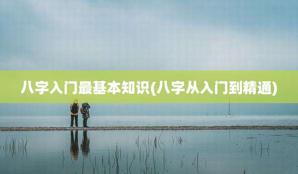 八字入门最基本知识(八字从入门到精通)