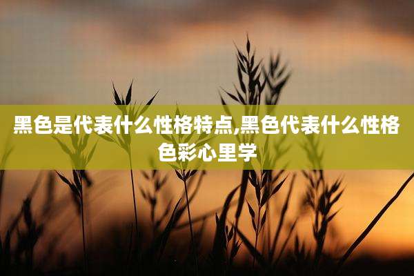 黑色是代表什么性格特点,黑色代表什么性格色彩心里学