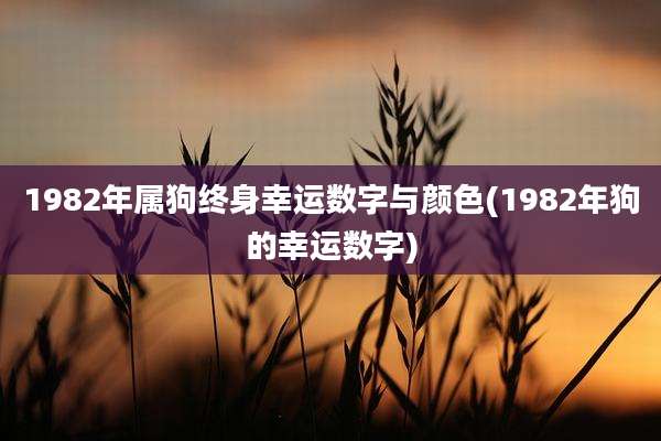 1982年属狗终身幸运数字与颜色(1982年狗的幸运数字)