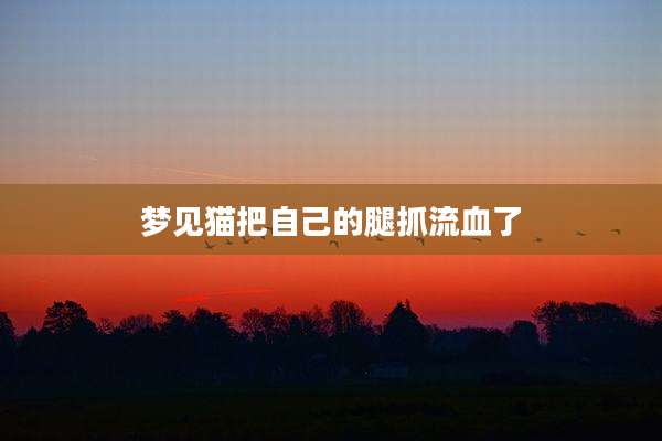 梦见猫把自己的腿抓流血了