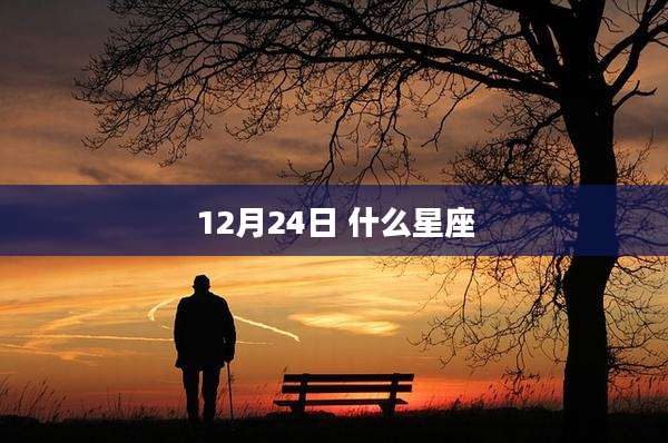 12月24日 什么星座