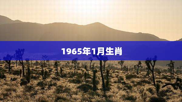1965年1月生肖