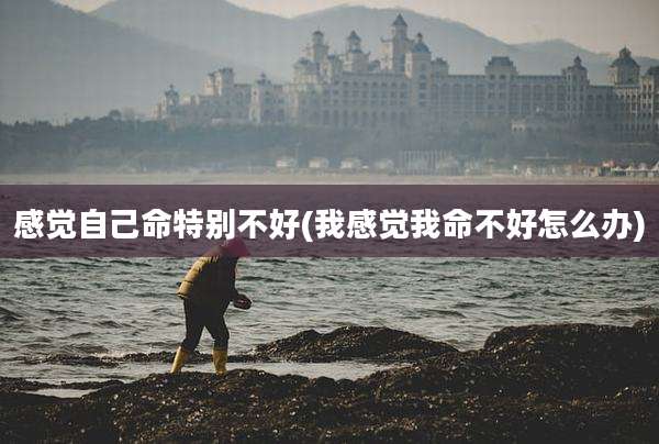 感觉自己命特别不好(我感觉我命不好怎么办)