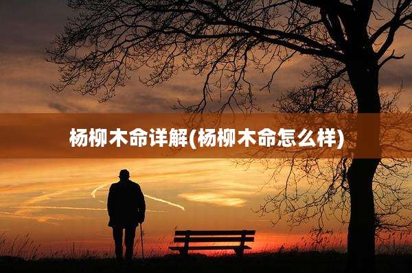 杨柳木命详解(杨柳木命怎么样)