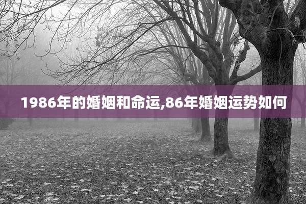 1986年的婚姻和命运,86年婚姻运势如何