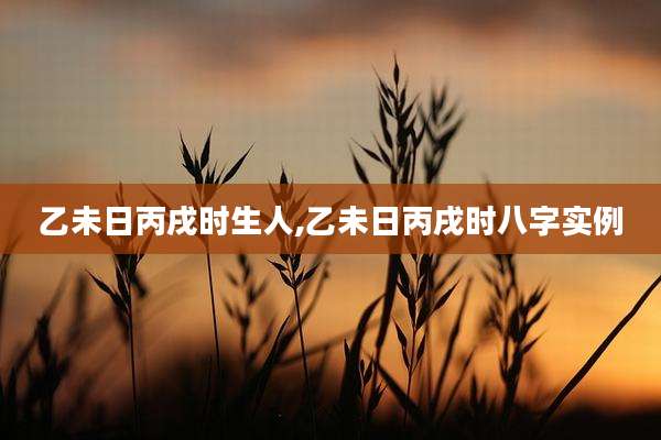 乙未日丙戌时生人,乙未日丙戌时八字实例