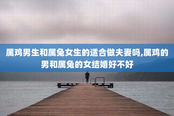属鸡男生和属兔女生的适合做夫妻吗,属鸡的男和属兔的女结婚好不好