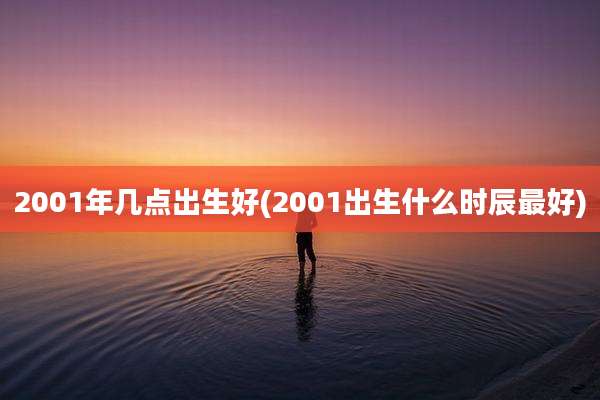2001年几点出生好(2001出生什么时辰最好)