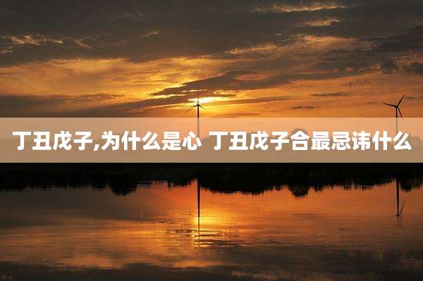 丁丑戊子,为什么是心 丁丑戊子合最忌讳什么