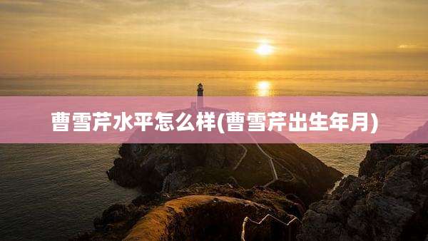 曹雪芹水平怎么样(曹雪芹出生年月)