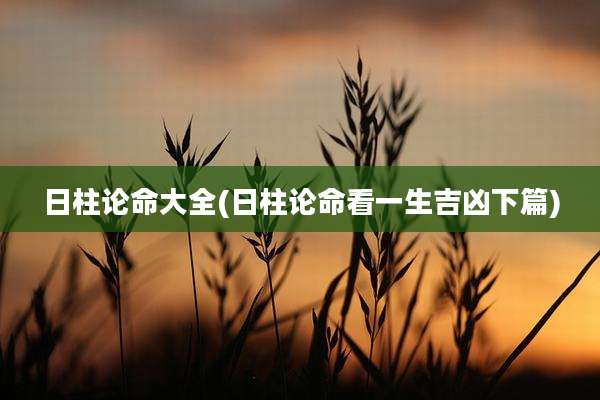 日柱论命大全(日柱论命看一生吉凶下篇)