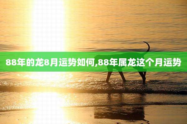88年的龙8月运势如何,88年属龙这个月运势