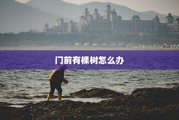 门前有棵树怎么办