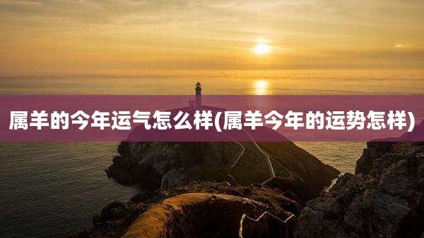 属羊的今年运气怎么样(属羊今年的运势怎样)