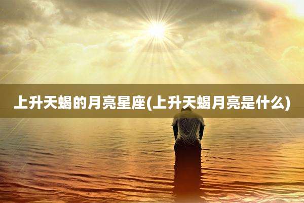 上升天蝎的月亮星座(上升天蝎月亮是什么)