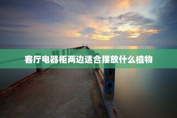 客厅电器柜两边适合摆放什么植物