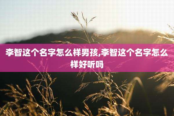 李智这个名字怎么样男孩,李智这个名字怎么样好听吗