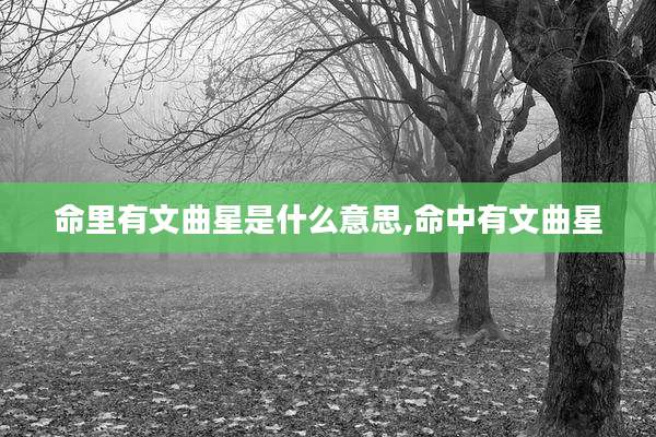 命里有文曲星是什么意思,命中有文曲星