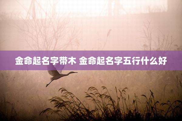 金命起名字带木 金命起名字五行什么好