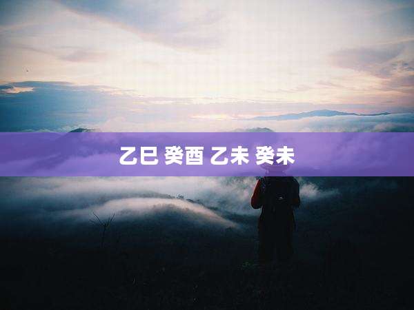乙巳 癸酉 乙未 癸未