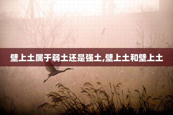 壁上土属于弱土还是强土,壁上土和壁上土